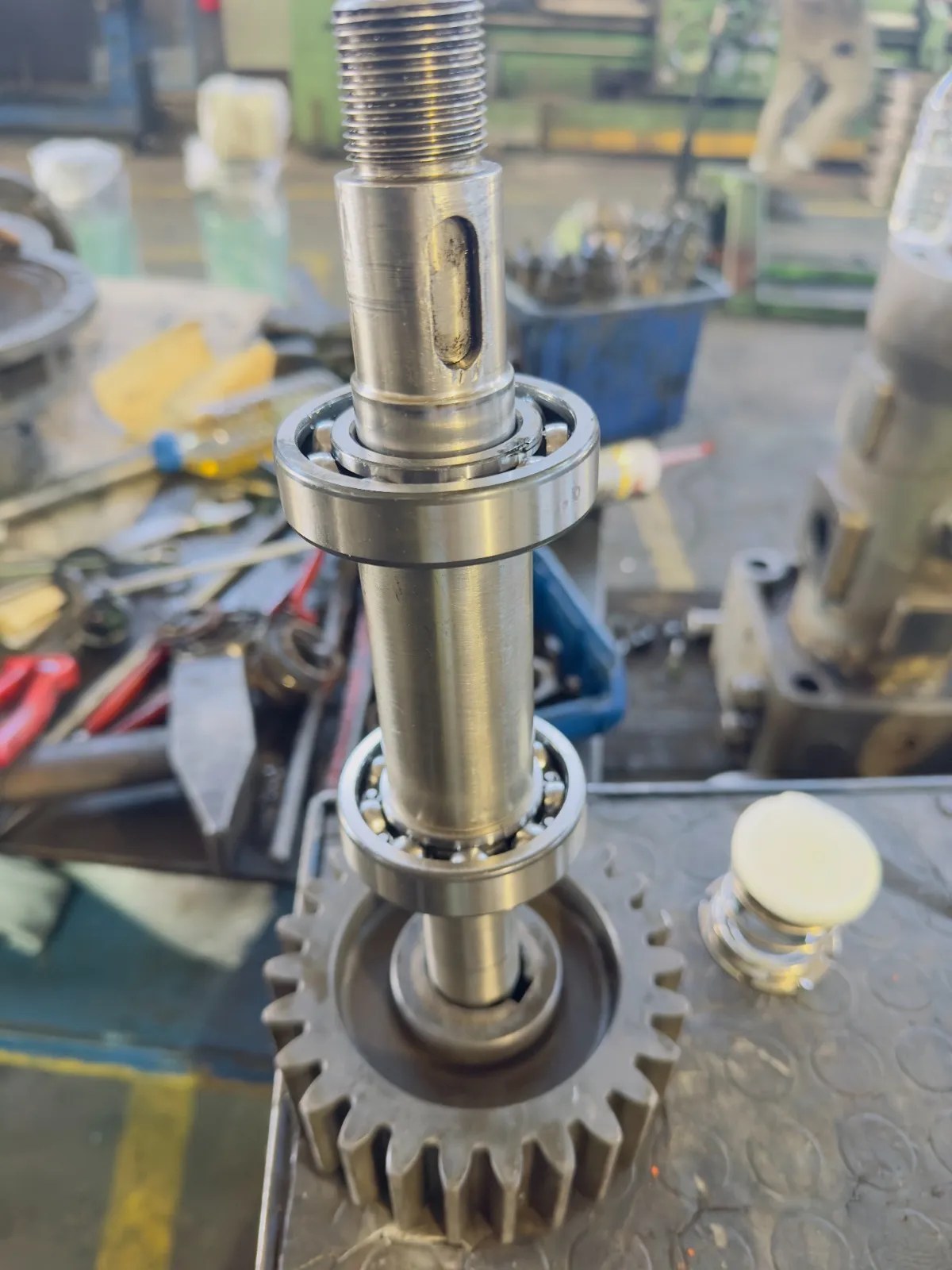 44ca720d-169b-4795-88d6-78a83d32e5f8-1